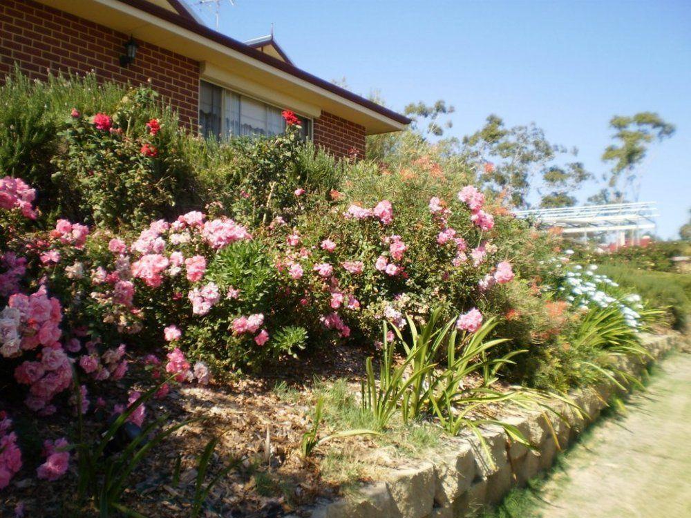 Grandhouse York Guesthouse Exterior foto
